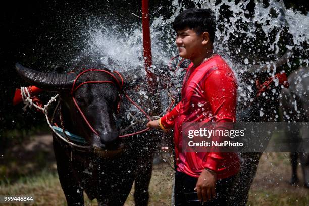 Thai farmer water buffalo cool off from the heat his buffalo before a Water Buffalo Racing Festival in Chonburi Province, Thailand, July 15, 2018.