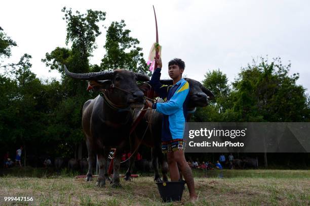 Boy pulls a buffalo during Water Buffalo Racing Festival in Chonburi province, Thailand, July 15, 2018.