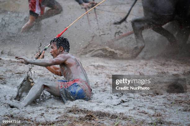 Thai farmer tumbles into mud as he fails to control buffalos during the Water Buffalo Racing Festival in Chonburi province, Thailand, July 15, 2018.