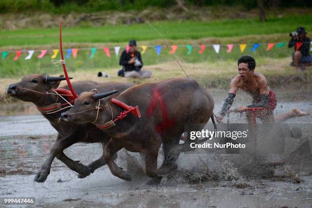 Thai farmer competes in the Water Buffalo Racing Festival in Chonburi province, Thailand, July 15, 2018.