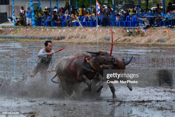 Thai farmer competes in the Water Buffalo Racing Festival in Chonburi province, Thailand, July 15, 2018.