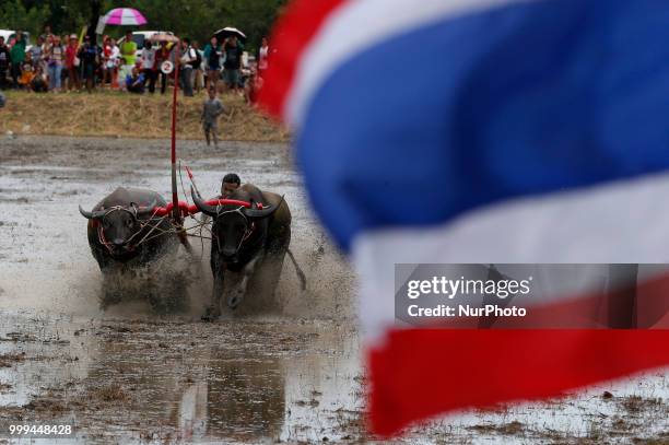 Jockey competes in Chonburi's annual buffalo race festival in Chonburi province, east of Bangkok on July 15, 2018.