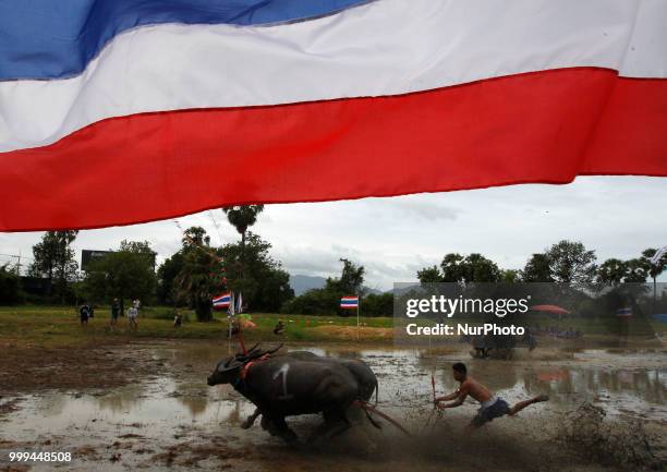 Jockeys compete in Chonburi's annual buffalo race festival in Chonburi province, east of Bangkok on July 15, 2018.