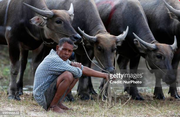 Trainer sits in front of his water buffalo during the annual buffalo race festival in Chonburi, province, east of Bangkok on July 15, 2018.