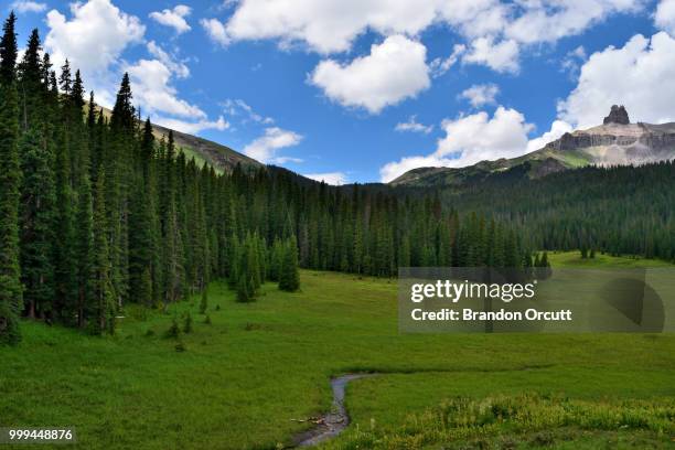 wilson meadows - brandon wilson stockfoto's en -beelden