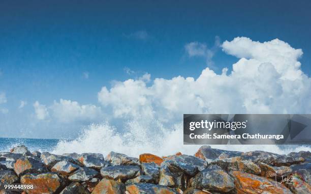 wave - sameera stock pictures, royalty-free photos & images