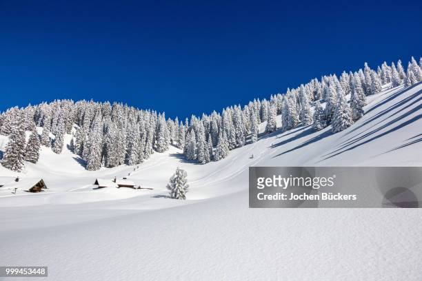 white snow - blue sky - snow white - fotografias e filmes do acervo