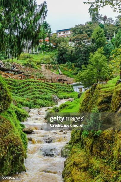 tongsa river near a temple in bumthang, bhutan. - bumthang stock-fotos und bilder