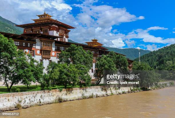 punakha dzong temple, bhutan - ipek morel stock pictures, royalty-free photos & images