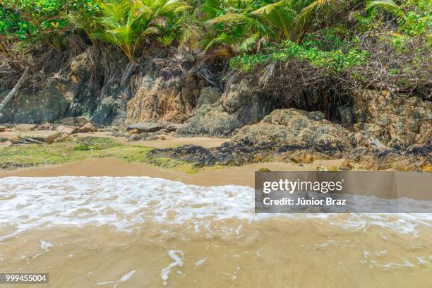 summer holiday daylight beach scene tropical paradise - paradise beach stock pictures, royalty-free photos & images