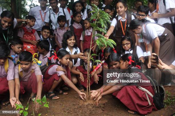 Students of Smt Sulochanadevi Singhania school plant trees in the school premises along with the students of Pandit School, a tribal school in Yeoor,...