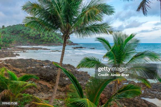 spectacular and impressive paradise beach at the itacare - paradise beach stock pictures, royalty-free photos & images