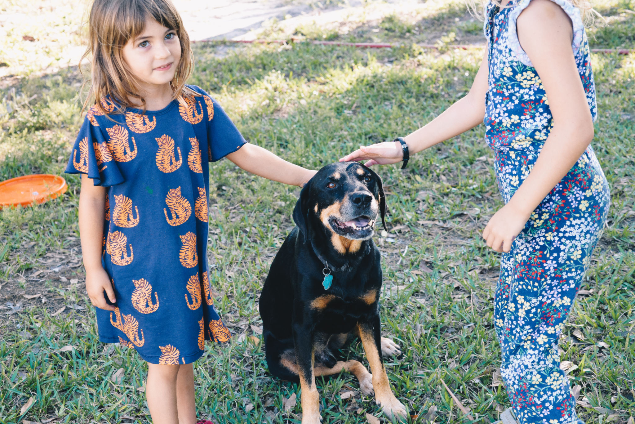 rottweiler family