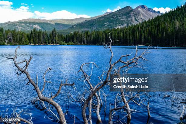 rocky mountain national park - jain stock-fotos und bilder