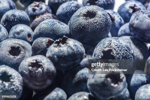35 Heidelbeeren Stock Photos, High-Res Pictures, and Images - Getty Images