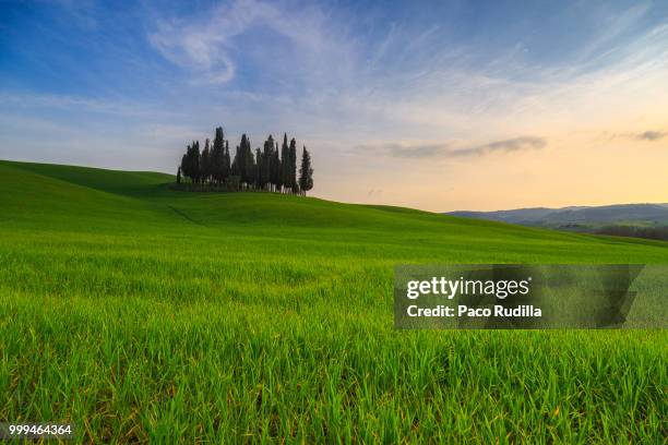 sunset in tuscany - paco stock pictures, royalty-free photos & images