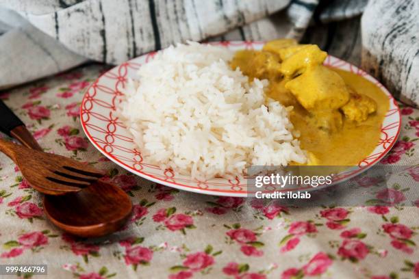 handmade indian curry chicken rice - makrodietisk mat bildbanksfoton och bilder