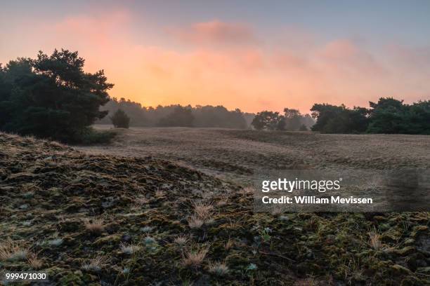 bergerheide sunrise - william mevissen stock pictures, royalty-free photos & images