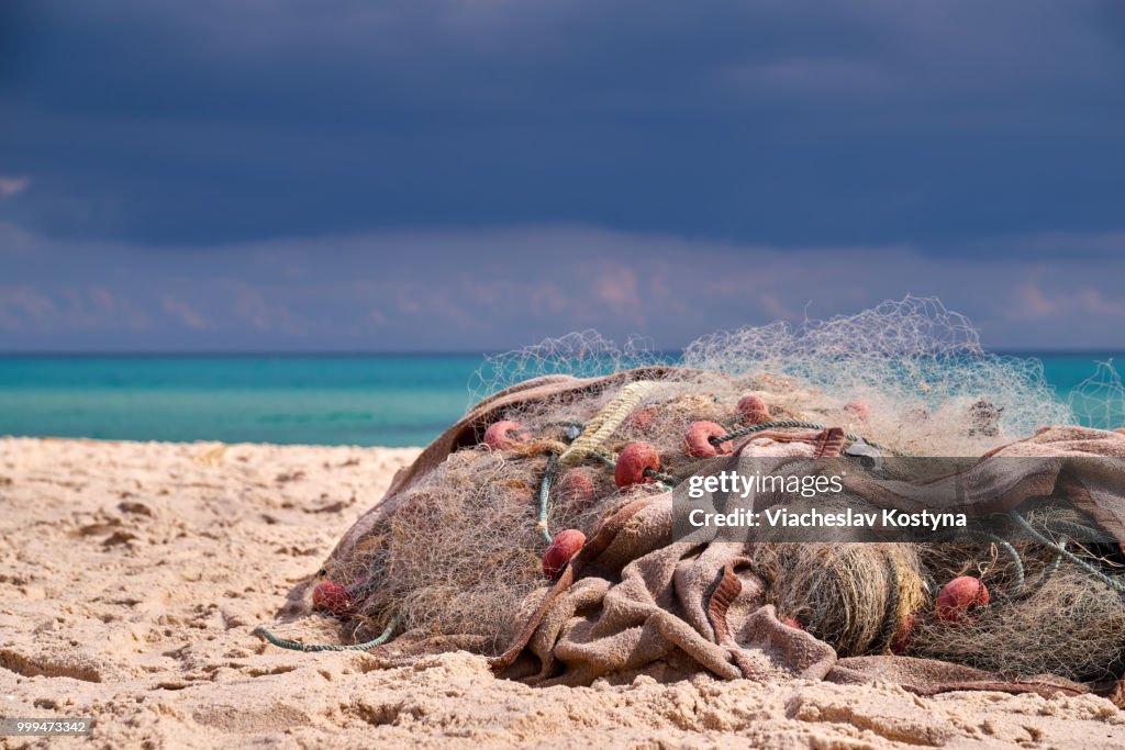 Fishing net. North Africa, Tunisia.