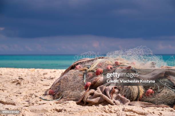 fishing net. north africa, tunisia. - net fishing stock pictures, royalty-free photos & images