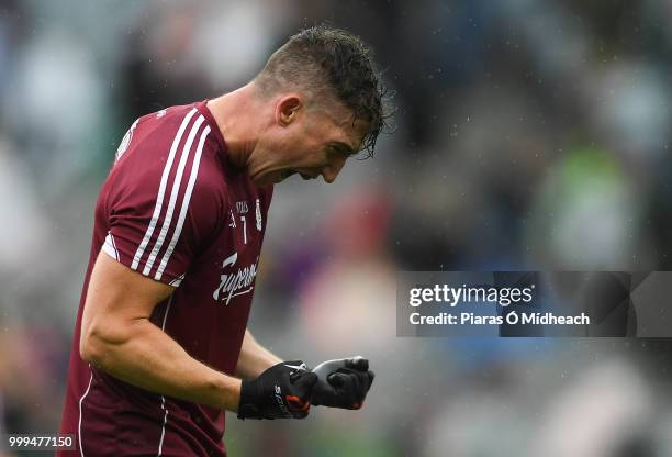 Dublin , Ireland - 15 July 2018; Johnny Heaney of Galway celebrates at the final whistle after the GAA Football All-Ireland Senior Championship...