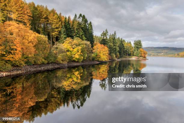 lake vyrnwy - lake vyrnwy 個照片及圖片檔