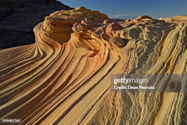 coyote buttes the wave - coyote - fotografias e filmes do acervo