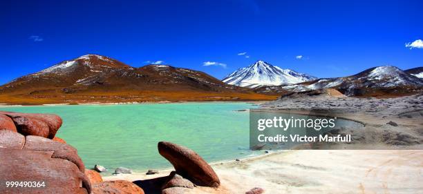 piedras rojas y salar de aguas calientes - calientes 個照片及圖片檔