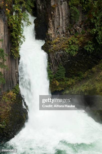 toketee falls, waterfall, roseburg, oregon, south cascades, cascade range, united states - roseburg oregon fotografías e imágenes de stock