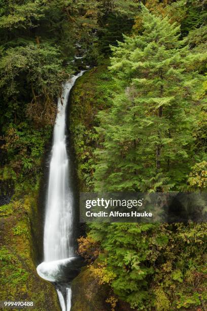 waterfall at the eagle creek trail, columbia river gorge, portland, oregon, united states - eagle river stockfoto's en -beelden