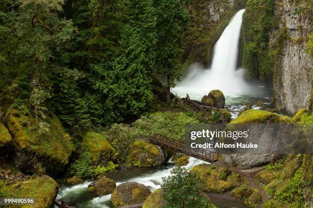 wahclella falls in the columbia river gorge, portland, oregon, united states - columbia gorge - fotografias e filmes do acervo