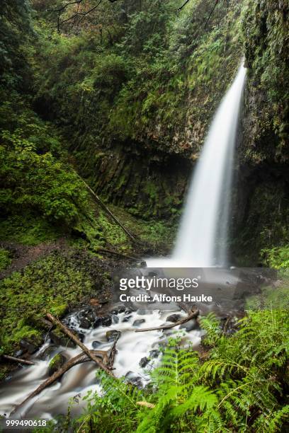 latourell falls in the columbia river gorge, portland, oregon, united states - columbia falls stock pictures, royalty-free photos & images