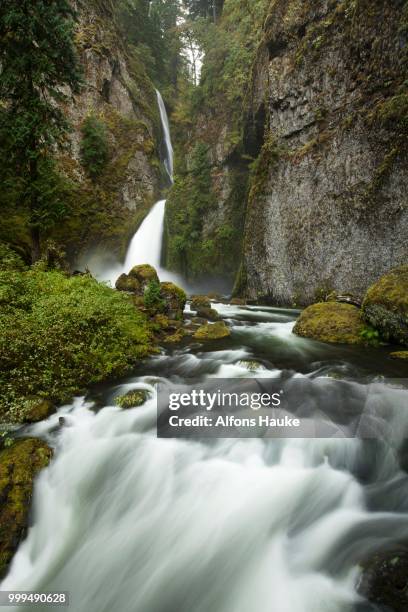 wahclella falls in the columbia river gorge, portland, oregon, united states - portland oregon ストックフォトと画像