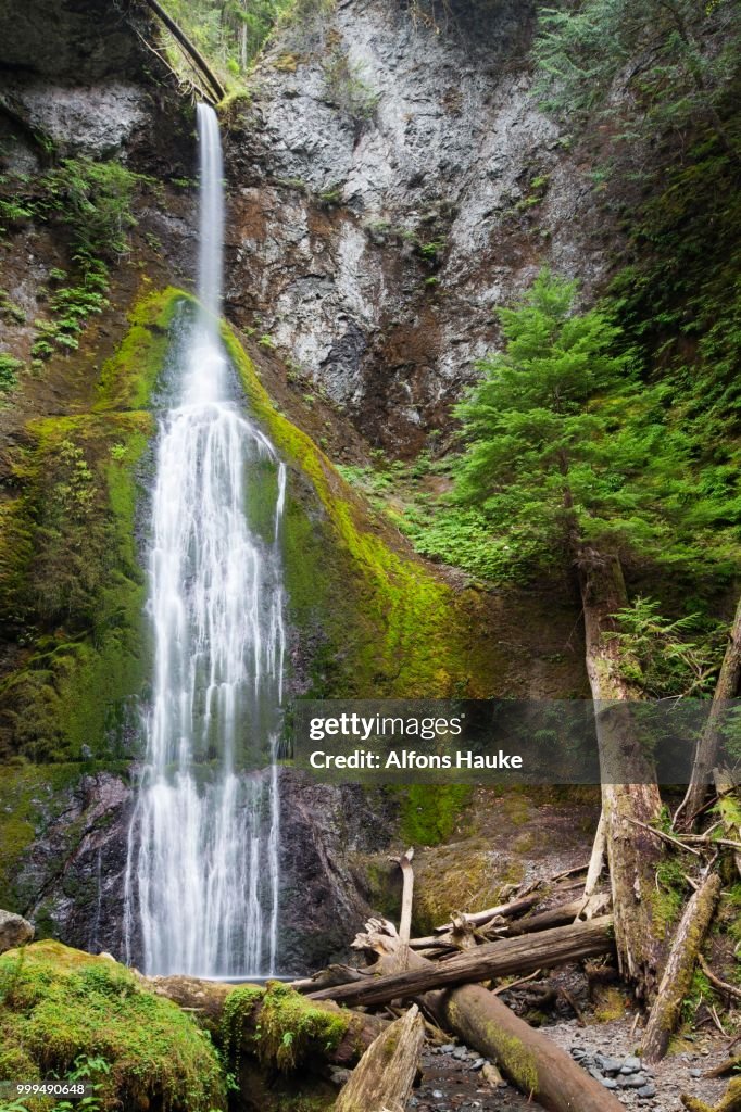 Marymere Falls, waterfall in Olympic National Park, Washington, United States