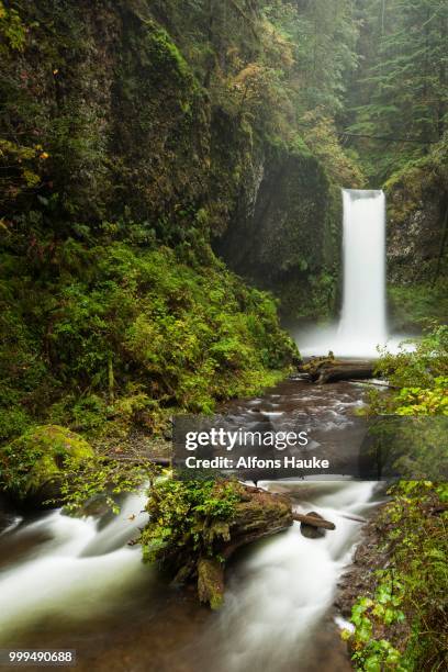 waterfall wiesendanger falls in the columbia river gorge, portland, oregon, united states - columbia falls stock pictures, royalty-free photos & images