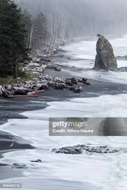 rialto beach in olympic national park, la push, washington, united states - rialto beach stock pictures, royalty-free photos & images