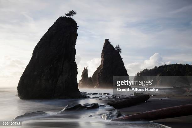 rialto beach in olympic national park, la push, washington, united states - rialto beach stock pictures, royalty-free photos & images