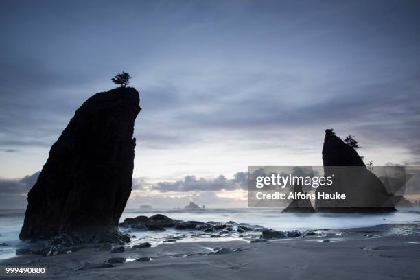 rialto beach in olympic national park, la push, washington, united states - rialto beach fotografías e imágenes de stock