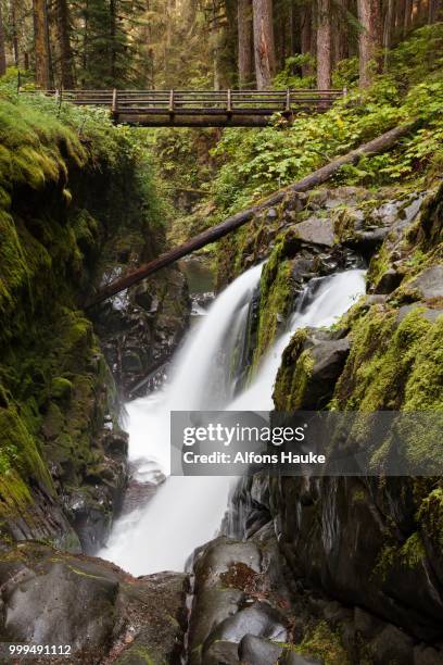 sol duc falls in the sol duc river valley, sol duc valley, washington, united states - duc stock pictures, royalty-free photos & images