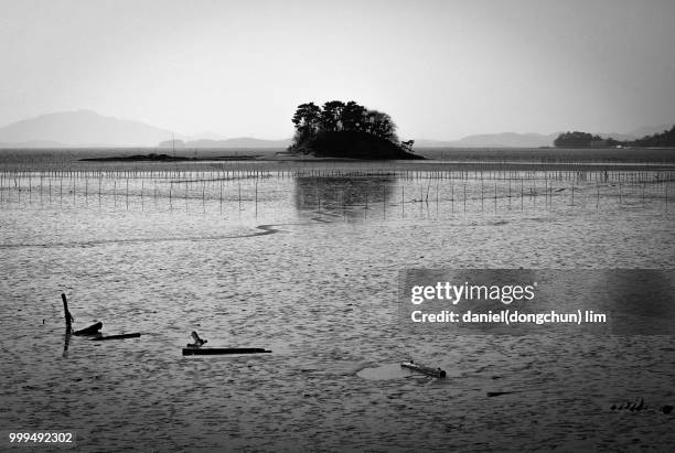 an pine-isle in suncheon bay - suncheon stock pictures, royalty-free photos & images