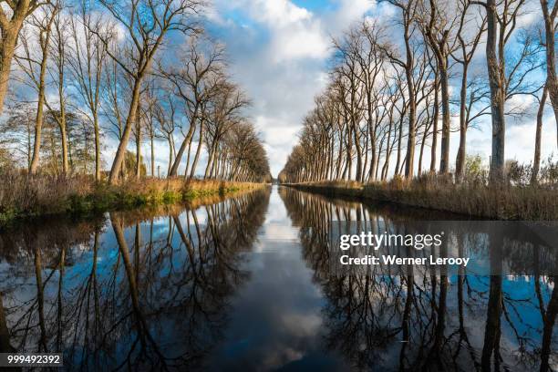 damse vaart classic reflections - werner stock pictures, royalty-free photos & images