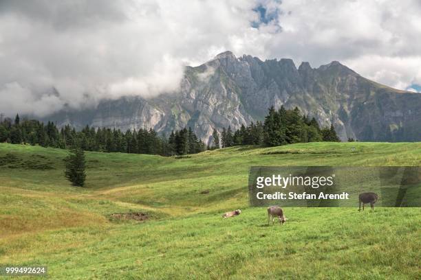 alpstein in appenzell, canton of st. gallen, switzerland - st gallen stockfoto's en -beelden