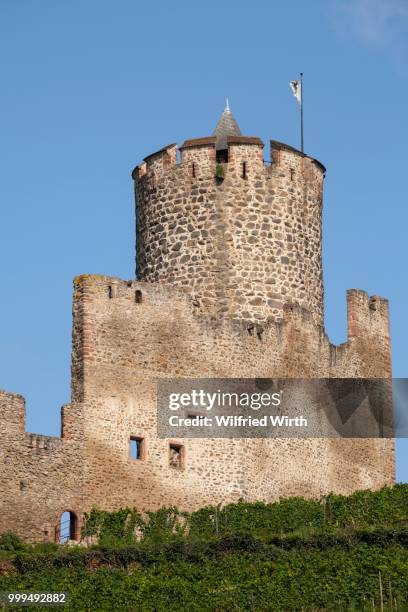 castle ruins sentier du chateau, kaysersberg, alsace, france - kaysersberg - fotografias e filmes do acervo