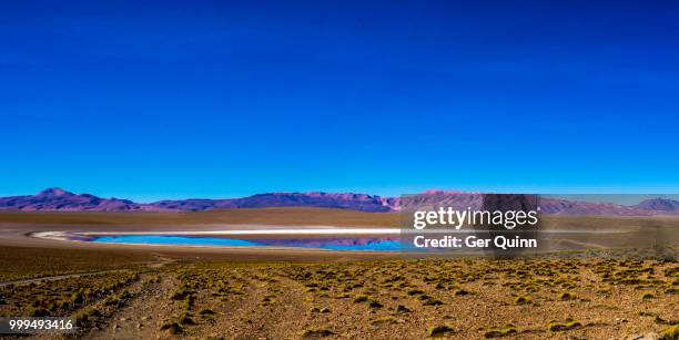 salar de uyuini tour - salar stock pictures, royalty-free photos & images