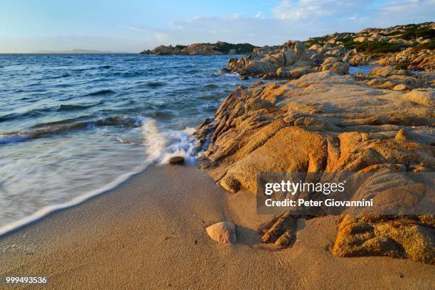 beach and rocky coastline, isola maddalena, arcipelago di la maddalena national park, sardinia, italy - isola stock-fotos und bilder