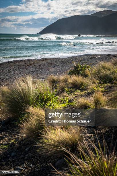 te kopahou reserve, wellington, new zealand - te stock pictures, royalty-free photos & images