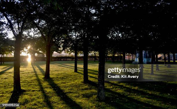 hide and seek with the sun. - avery stock pictures, royalty-free photos & images