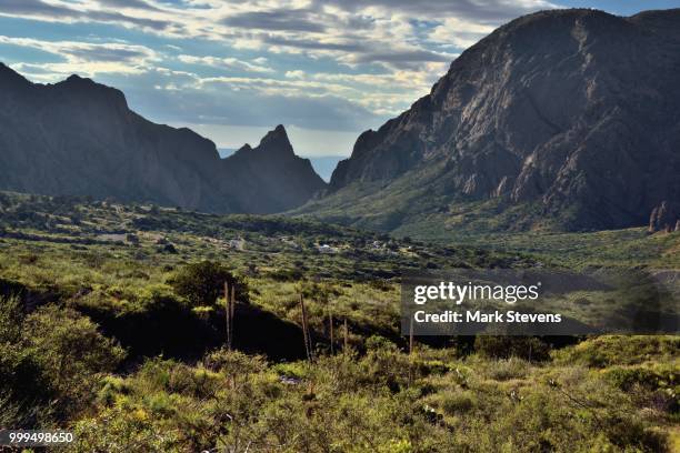 a look across the chisos basin area to peaks of the chisos mountains - chisos mountains stockfoto's en -beelden