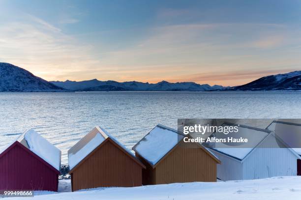 colored wooden huts on the nordfjord, kvaloeya, troms, norway - olden foto e immagini stock
