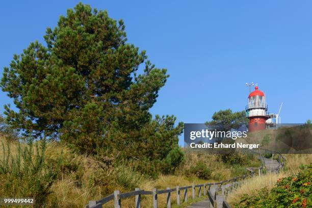 lighthouse on vlieland, friesland province, north holland, the netherlands - vlieland stock pictures, royalty-free photos & images